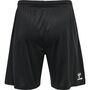 Hummel Hmlcore Xk Poly Coach Shorts - black