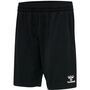 Hummel Hmlreferee Chevron Shorts - black