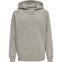 Hummel Hmlred Classic Hoodie Kids - grey melange