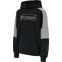 Hummel Hmlboxline Hoodie - black