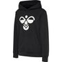 Hummel Hmlcuatro Hoodie - black