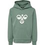 Hummel Hmlcuatro Hoodie - laurel wreath