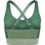 Hummel Hmlclea Seamless Sports Top - laurel wreath/lily pad melange