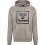 Hummel Hmlisam 2.0 Hoodie - driftwood