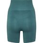 Hummel Hmltif Seamless Shorts - north atlantic