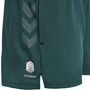 Hummel Hmlmove Grid Woven Shorts Woman - deep teal