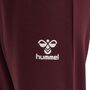 Hummel Hmlbagga Pants - windsor wine