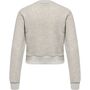 Hummel Hmllgc Shai Short Sweatshirt - legacy melange