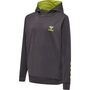 Hummel Hmloffgrid Cotton Hoodie Kids - forged iron/dark citron