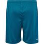 Hummel Hmlauthentic Pl Shorts Kids - blue coral