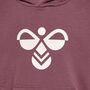 Hummel Hmlcuatro Hoodie - rose brown