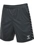 Hummel Hmlauthentic Pl Shorts - asphalt