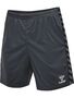 Hummel Hmlauthentic Pl Shorts - asphalt