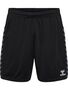 Hummel Hmlauthentic Pl Shorts - black