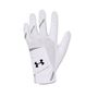 Under Armour Jungen Boys UA Iso-Chill Golf Glove - wei� 