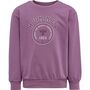 Hummel hmlBOTANY SWEATSHIRT - bordeaux