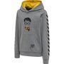 Hummel hmlHARRY POTTER CUATRO HOODIE - medium melange