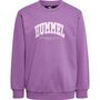 Hummel hmlFAST SWEATSHIRT - argyle purple