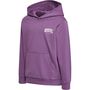 Hummel hmlFAST HOODIE - argyle purple