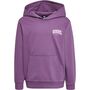 Hummel hmlFAST HOODIE - argyle purple