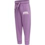 Hummel hmlFAST APPLE PANTS - argyle purple