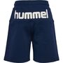 Hummel hmlFLOW SHORTS - black iris