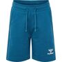 Hummel hmlFLOW SHORTS - blue coral