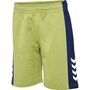 Hummel hmlRUSH BLOCK SHORTS - green olive