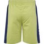 Hummel hmlRUSH BLOCK SHORTS - green olive