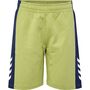Hummel hmlRUSH BLOCK SHORTS - green olive