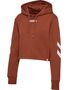 Hummel hmlLEGACY WOMAN CROPPED HOODIE - arabian spice