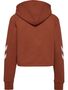 Hummel hmlLEGACY WOMAN CROPPED HOODIE - arabian spice