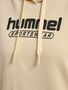 Hummel hmlBOOSTER WOMAN HOODIE - wood ash