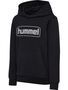 Hummel hmlBALLY HOODIE - black