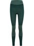 Hummel hmlCLEA SEAMLESS MID WAIST TIGHTS - green gables/garden topiary me