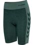 Hummel hmlCLEA SEAMLESS CYCLING SHORTS - green gables/garden topiary me
