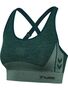 Hummel hmlCLEA SEAMLESS SPORTS TOP - green gables/garden topiary me