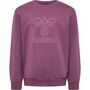 Hummel hmlFASTWO SWEATSHIRT - tulipwood