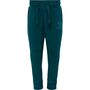 Hummel hmlFASTWO APPLE PANTS - deep teal