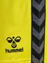 Hummel hmlAUTHENTIC PL SHORTS - blazing yellow