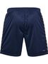 Hummel hmlAUTHENTIC PL SHORTS - marine