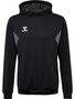 Hummel hmlAUTHENTIC PL HOODIE - black