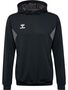 Hummel hmlAUTHENTIC PL HOODIE - black