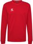 Hummel hmlAUTHENTIC CO TRAINING SWEAT - true red
