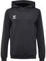 Hummel hmlAUTHENTIC PL HOODIE KIDS - asphalt