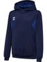 Hummel hmlAUTHENTIC PL HOODIE KIDS - marine