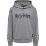 Hummel hmlHARRY POTTER HOODIE - medium melange