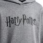 Hummel hmlHARRY POTTER HOODIE - medium melange
