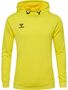 Hummel hmlAUTHENTIC PL HOODIE - blazing yellow