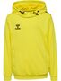 Hummel hmlAUTHENTIC PL HOODIE KIDS - blazing yellow